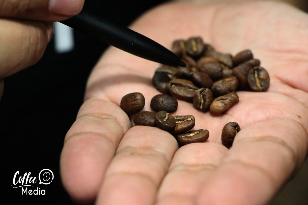 Imagen referente a Los mejores cafés tostados del país se seleccionarán en Ibagué