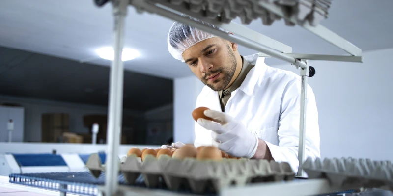 Imagen referente a Programa Manipulación de alimentos