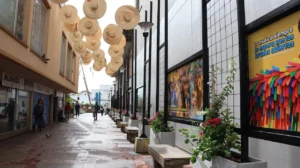 Fotografía Callejón de los Vientos 2025 - Ibagué, Tolima