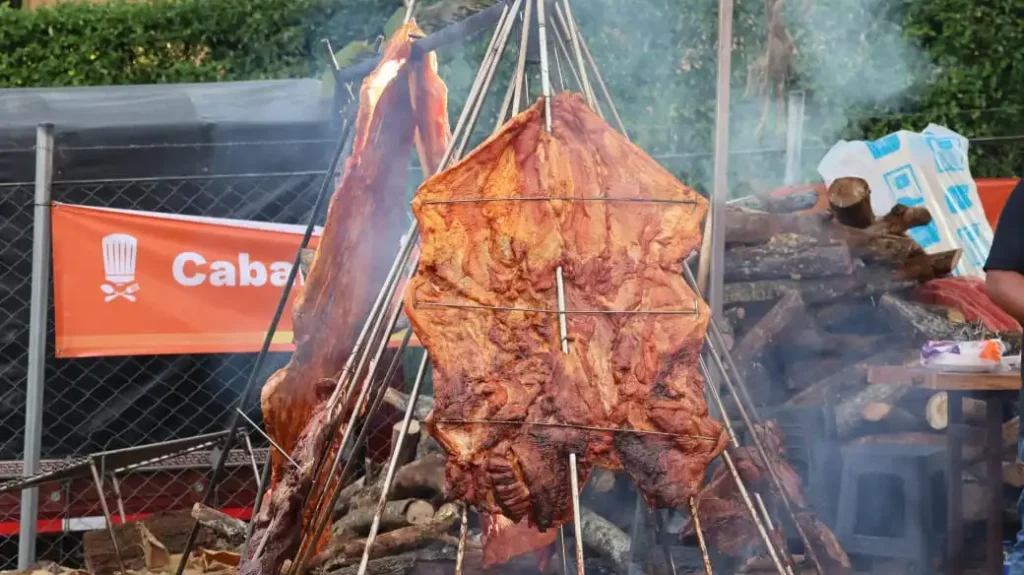Fotografía carne a la llanera